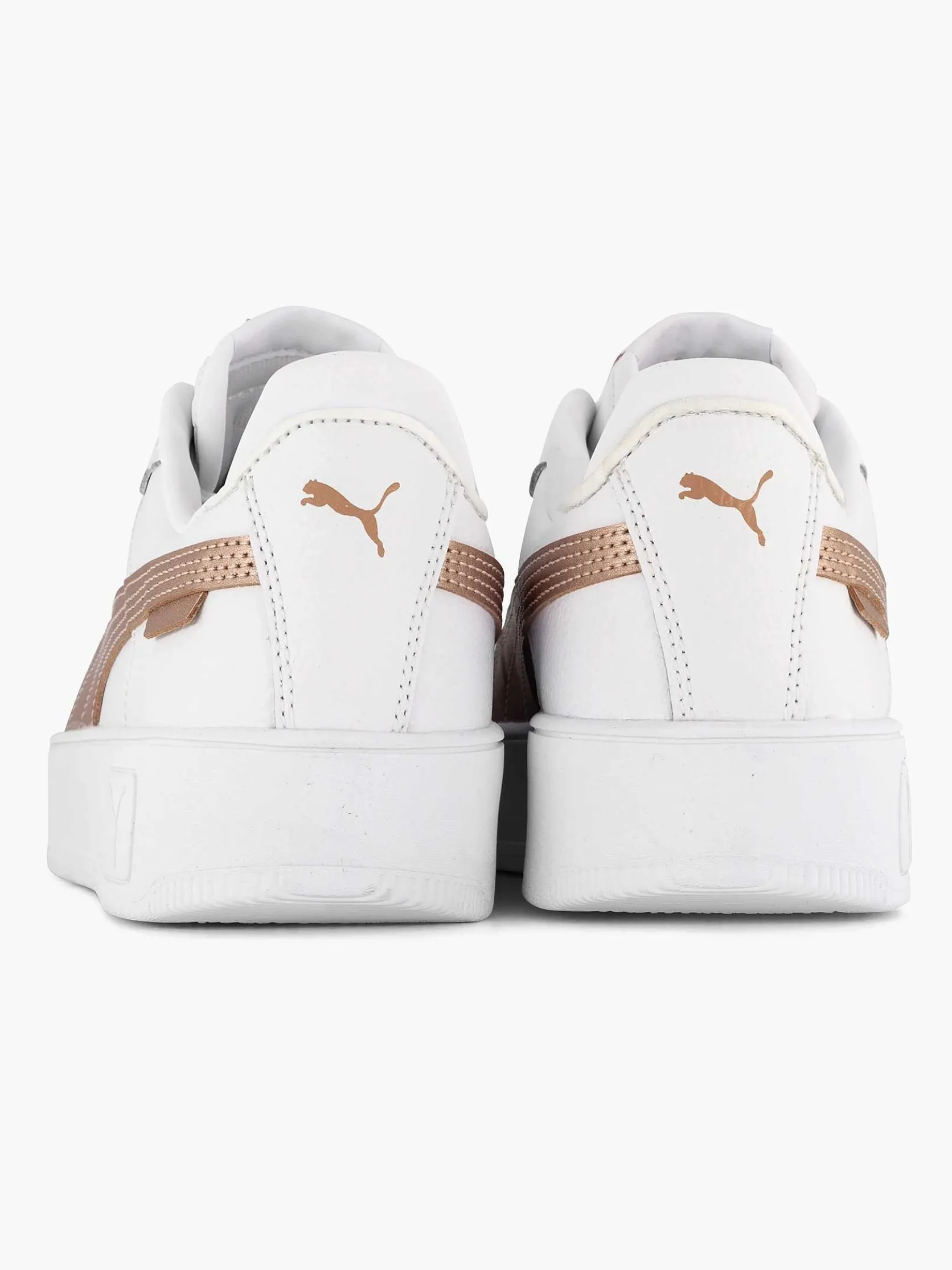 Witte Carina Street Rose