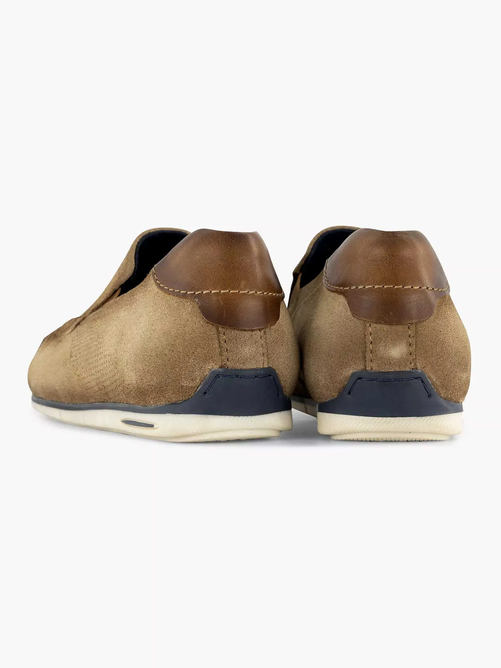 Zandkleurige Chesley